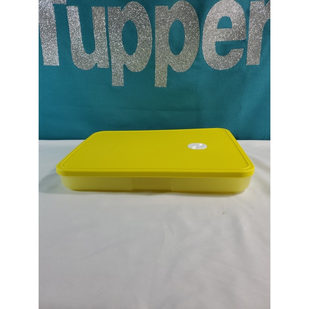 Tupperware FreezeSmart Rectangle #1  Freezer Date Dial 4.75 Cup / 1.2L
